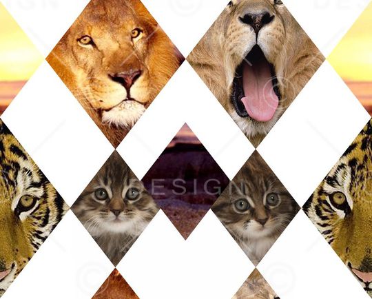 欧美印花华亿平台图片