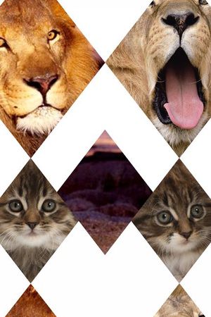 欧美印花华亿平台图片