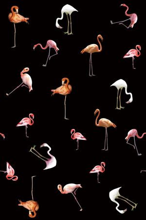 潮流时尚大牌印花华亿平台图片