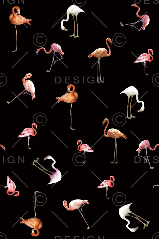 潮流时尚大牌印花华亿平台图片