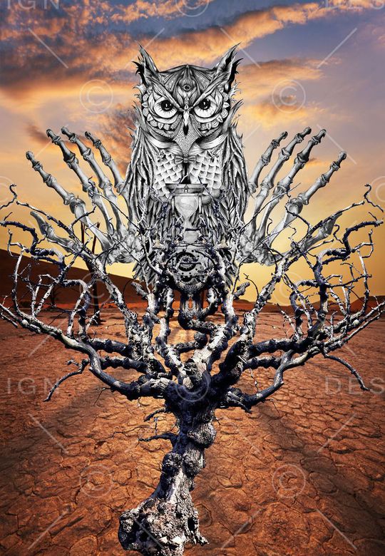 潮流印花华亿平台图片