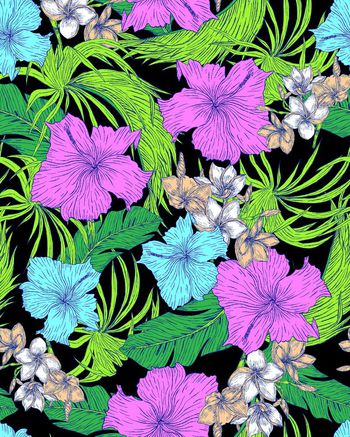 517422-手绘夏威夷熱帶花