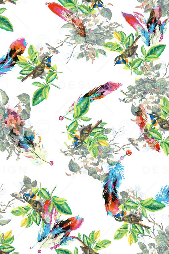 水彩羽毛印花华亿平台图片