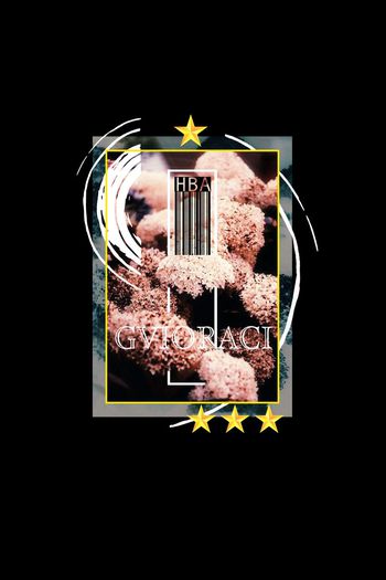 517460-时尚HBA潮牌风格定位华亿平台