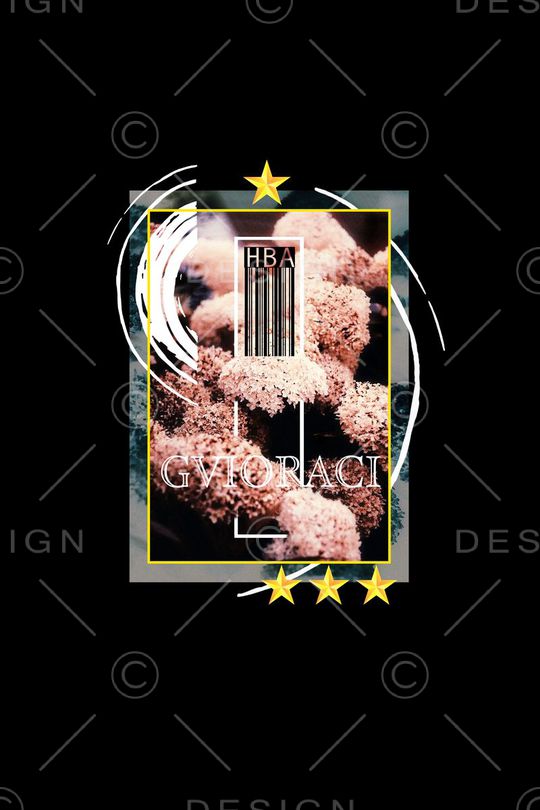 HBA风格印花华亿平台图片