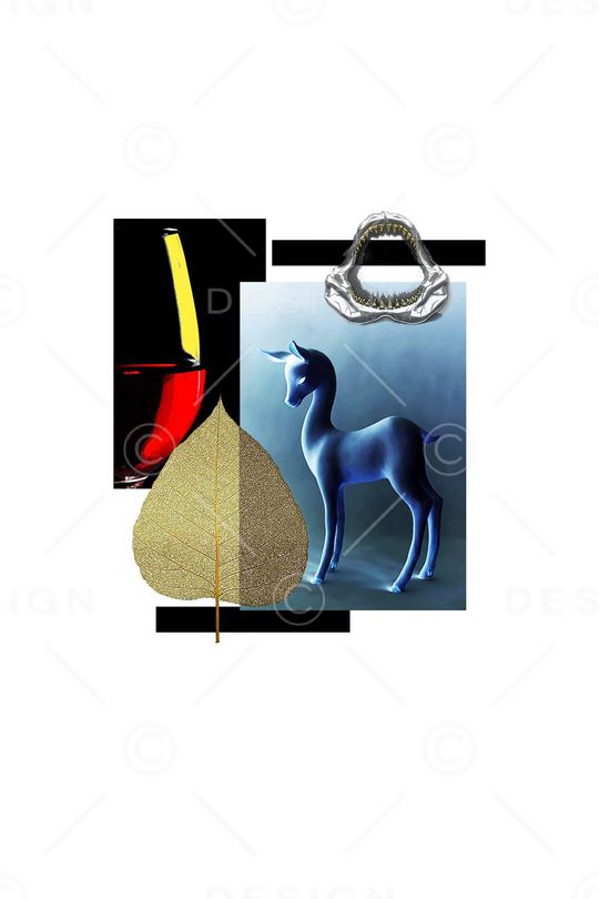 流行时尚印花华亿平台图片