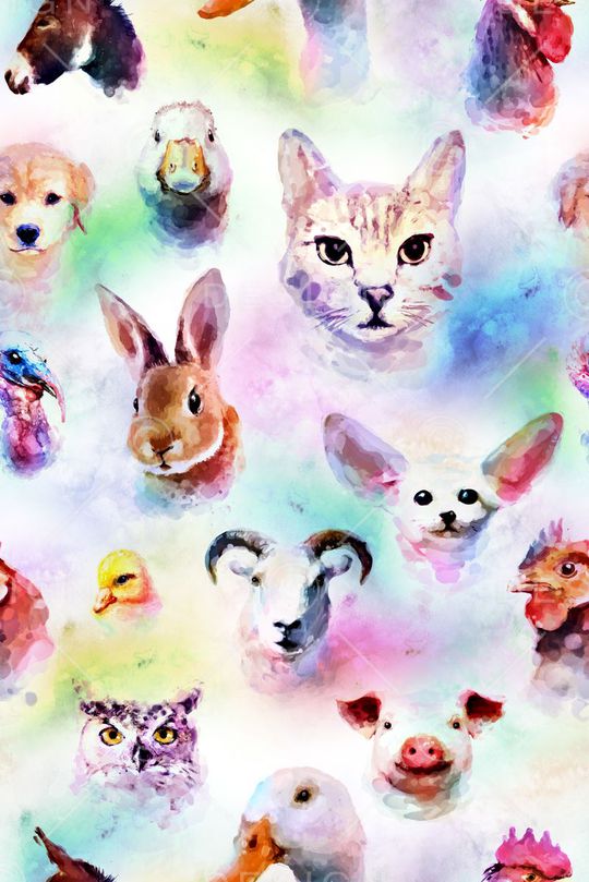 动物印花华亿平台图片