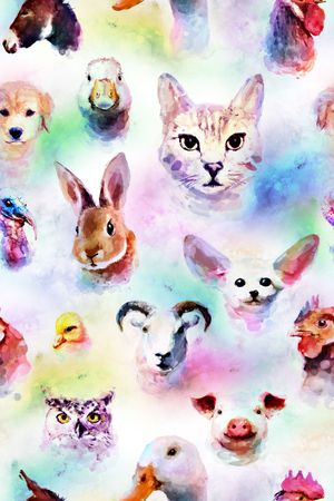 动物印花华亿平台图片