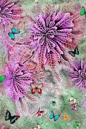 518085-工笔 花卉 蝴蝶 肌理