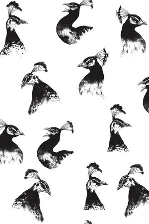 大牌印花华亿平台图片