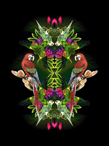 欧美时尚休闲印花华亿平台图片