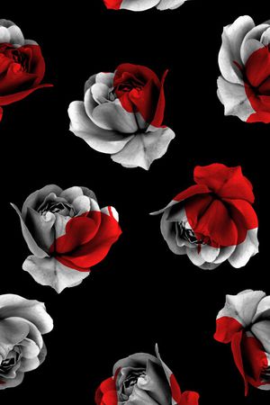 秋冬款印花华亿平台图片