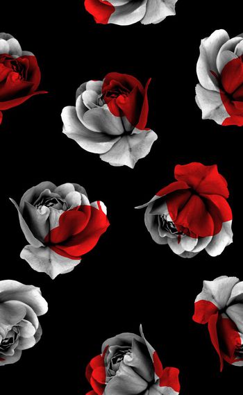 518427-欧美流行时尚黑白花配色系列01 秋