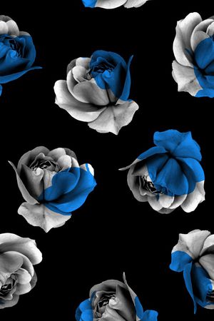 秋冬款印花华亿平台图片