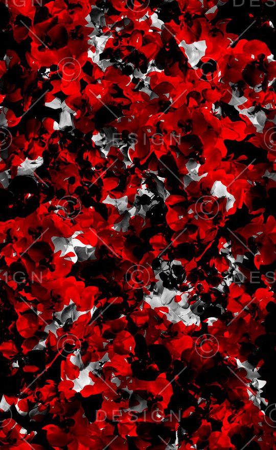 秋冬款印花华亿平台图片