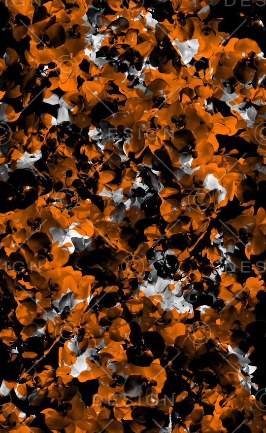 秋冬款印花华亿平台图片