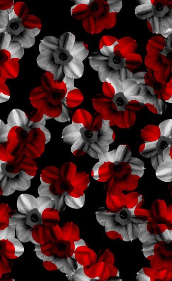 518446-欧美流行时尚黑白花配色系列04 秋