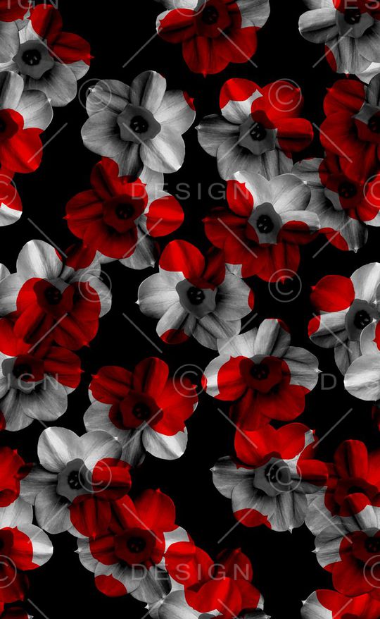 秋冬款印花华亿平台图片