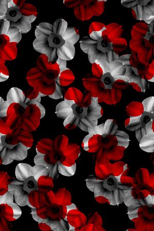 秋冬款印花华亿平台图片