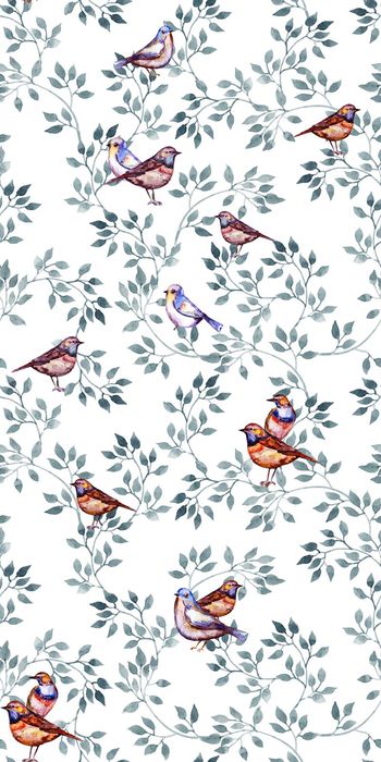 518509-鸟  枝叶   手绘