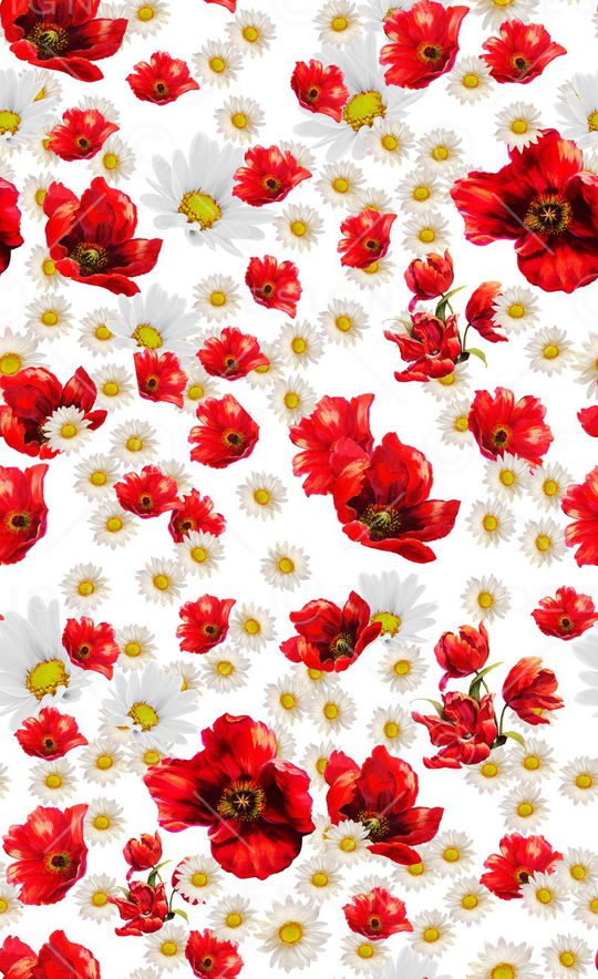 雏菊印花华亿平台图片