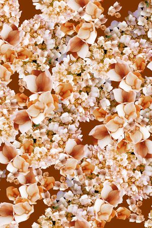 大气印花华亿平台图片