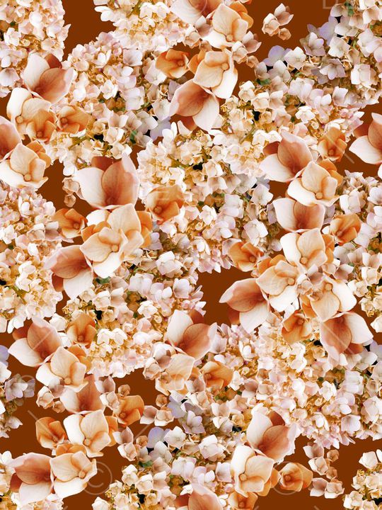 大气印花华亿平台图片