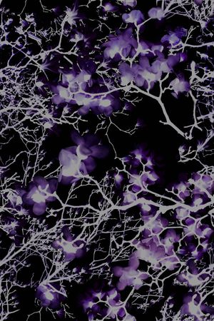 高贵印花华亿平台图片