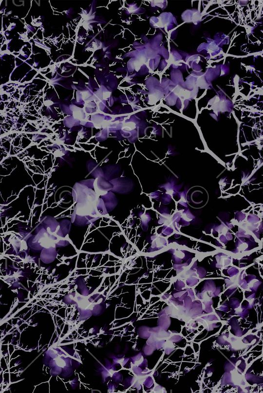 高贵印花华亿平台图片