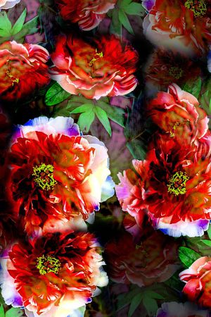 大气印花华亿平台图片