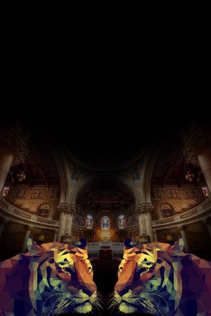 男装印花华亿平台图片