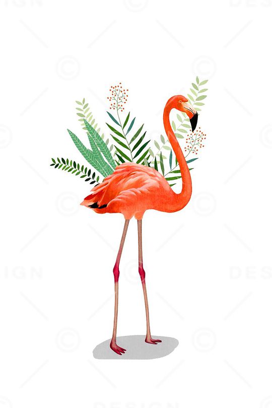 T恤印花华亿平台图片