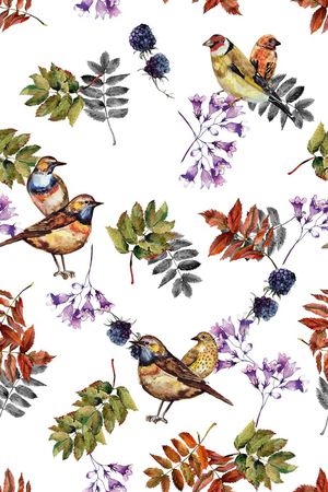 动物印花华亿平台图片