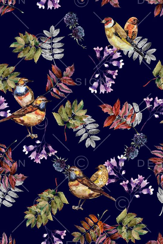 动物印花华亿平台图片