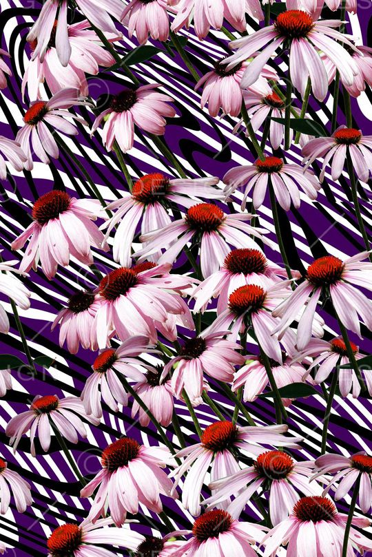 动感印花华亿平台图片