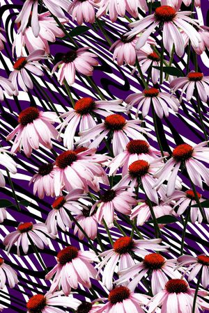 动感印花华亿平台图片