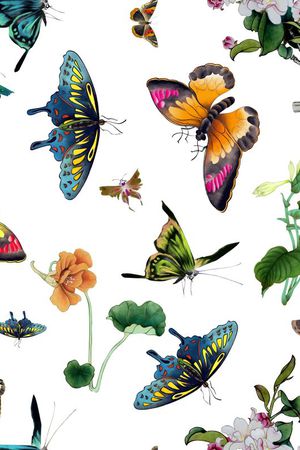 蝴蝶印花华亿平台图片