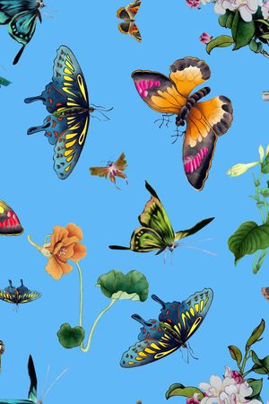 蝴蝶印花华亿平台图片