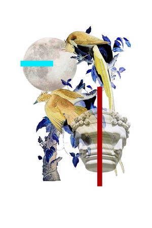 流行时尚印花华亿平台图片