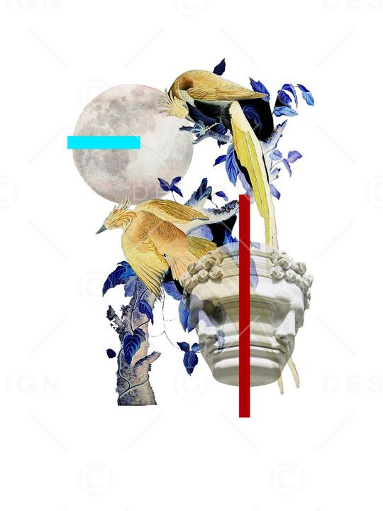 流行时尚印花华亿平台图片