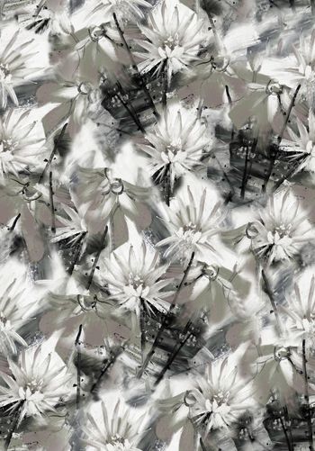 519277-中国手绘风花卉