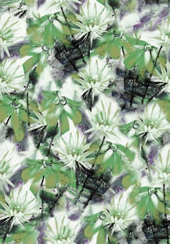 519278-中国手绘风花卉