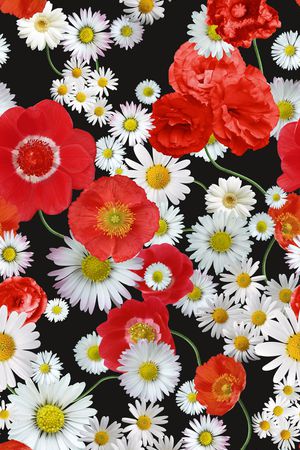 白色雏菊花卉印花华亿平台图片