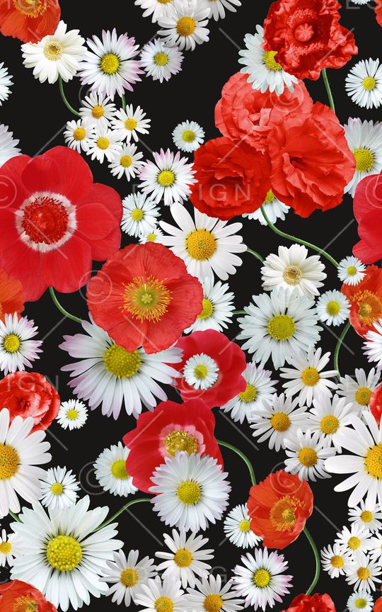 白色雏菊花卉印花华亿平台图片