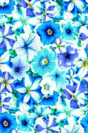 时尚潮流印花华亿平台图片