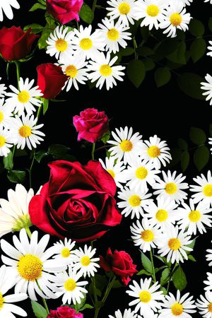 红玫瑰印花华亿平台图片