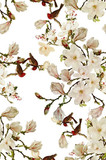 519679-中国风玉兰花青花瓷