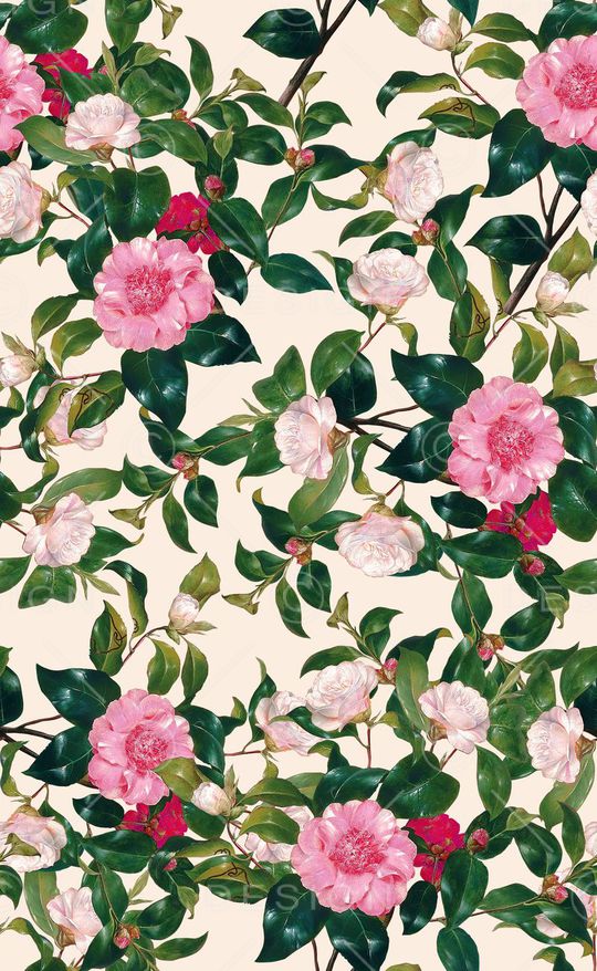 欧美油画印花华亿平台图片