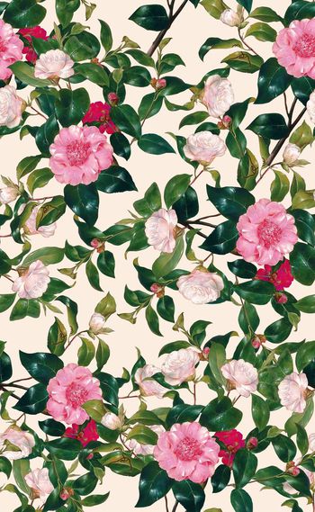 519781-欧美流行时尚油画小花卉系列-01 