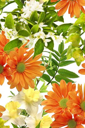 欧美印花华亿平台图片